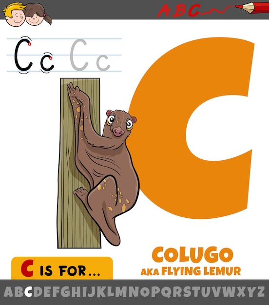 Buchstabe c aus dem alphabet mit cartoon-colugo-tierfigur