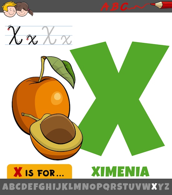 Buchstabe x arbeitsblatt mit cartoon ximenia frucht