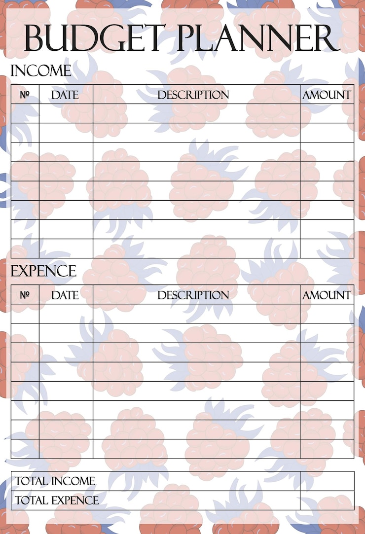 Vektor budgetplaner-satz-symbol raspberry-hintergrund mit strukturierten einnahmen- und ausgabenabschnitten perfekt für kreatives finanzielles tracking und berry-layouts