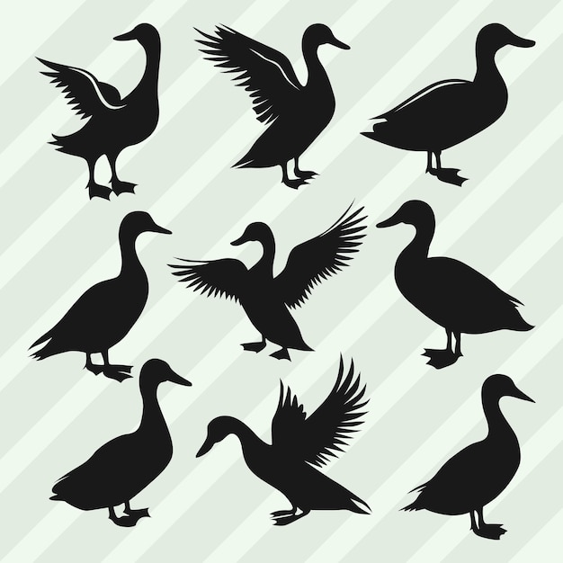 Bündel von Vektorsilhouetten von Enten Set aus verschiedenen Posen Enten-Sammlung