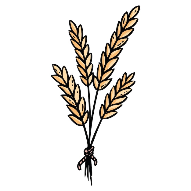 Bündel Weizen-Cartoon-Symbol Bild im Comic-Stil mit Kornumriss Handgezeichnete isolierte Lineart-Illustration für Drucke entwirft Karten Web und Handy