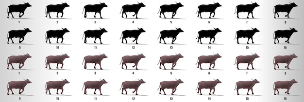 Buffalo walk cycle animationssequenzvektor