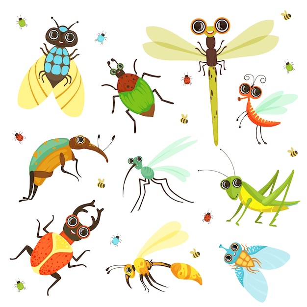 Bugs, schmetterling und andere insekten im cartoon-stil