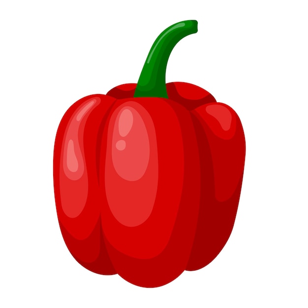 Bulgarischer Pfeffer isoliert auf weißem Hintergrund. Süße rote Paprika, Paprika. Vektor-Illustration.