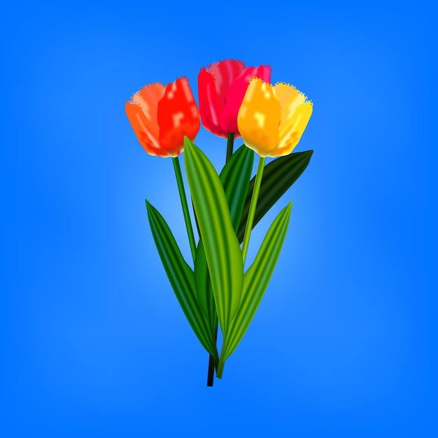 Bunte tulpenblumen