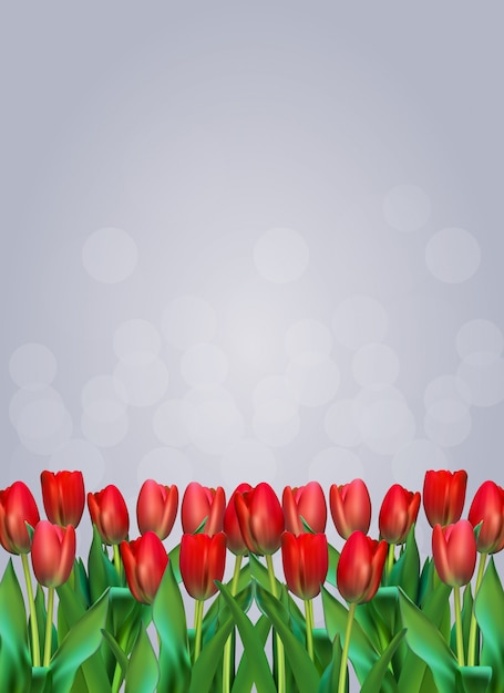 Bunter Tulpenhintergrund der realistischen Illustration