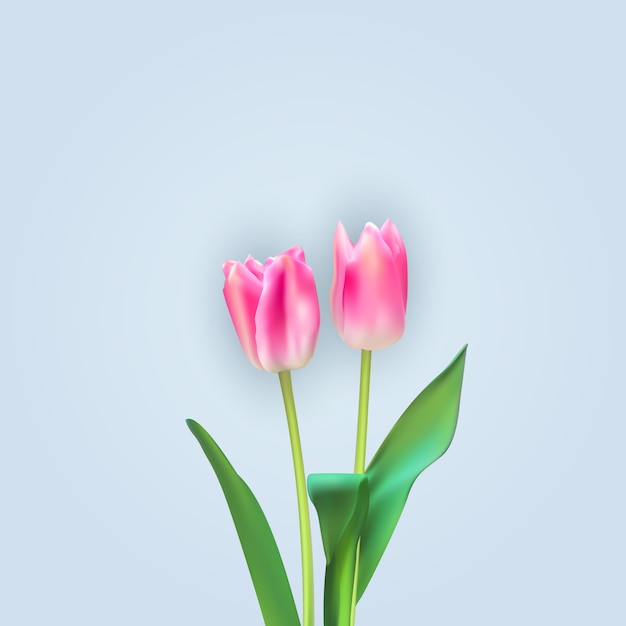 Bunter Tulpenhintergrund der realistischen Illustration