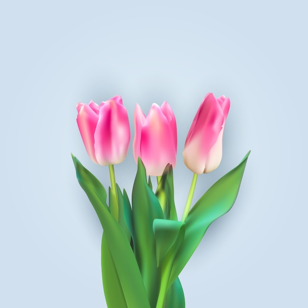 Bunter Tulpenhintergrund der realistischen Illustration