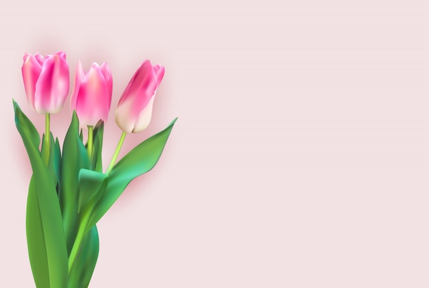 Bunter tulpenhintergrund der realistischen illustration