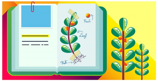 Buntes Tagebuch aus Schrott, Herbarium