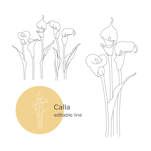 Calla-blume im minimalistischen stil editierbare linie.