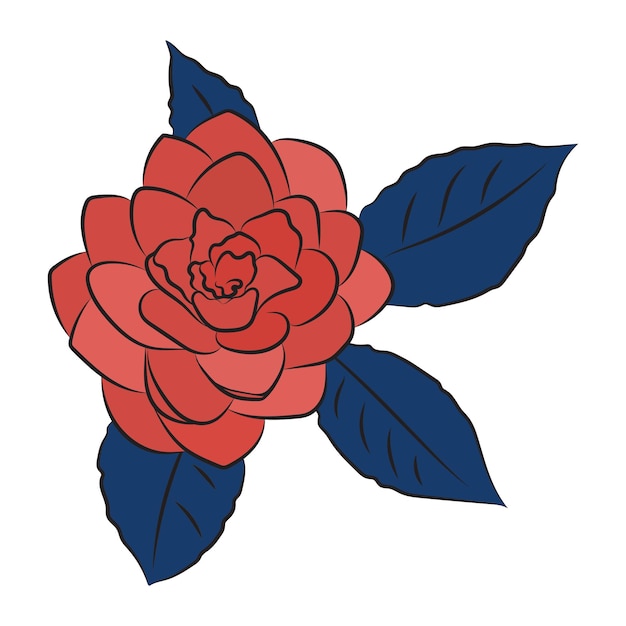 Camellia blume rot und blau eine knospe üppige knospe isoliert auf weißem hintergrund strichzeichnungen einfach botanisch für einladungen zu hochzeitskarten
