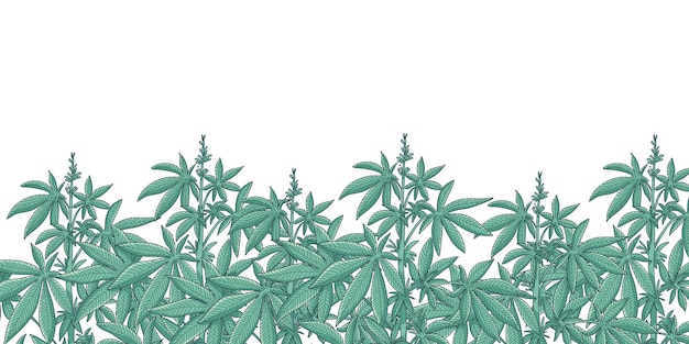 Vektor cannabis garten hintergrund