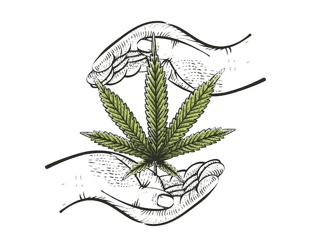 Vektor cannabisblatt mit handlogo-etikett im vintage-grunge-stil, vektorillustration