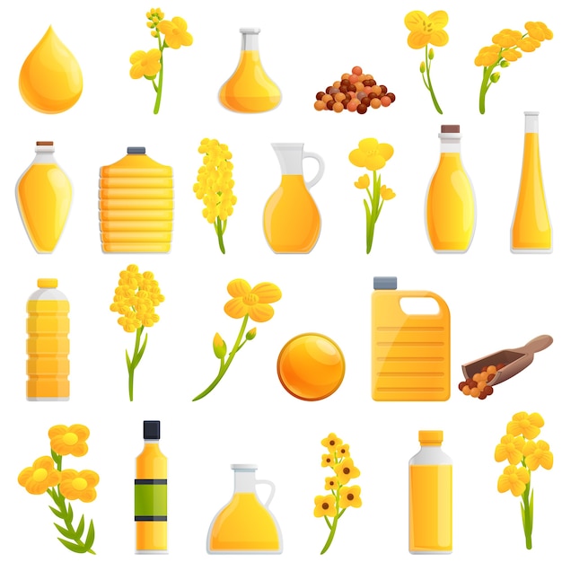 Canola icons gesetzt. cartoon-satz von canola-symbolen für web