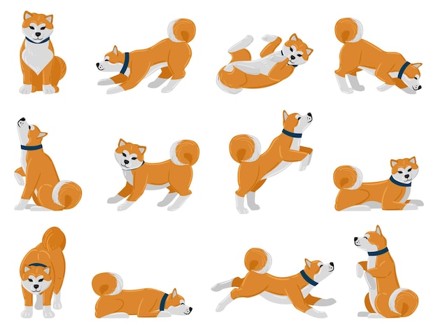 Cartoon akita hund tägliche routine, welpen haustier wandern, schlafen und heulen. haustiertricks, niedlicher akita-tieraktionen-vektor-illustrationssatz. entzückender akita-rassehund