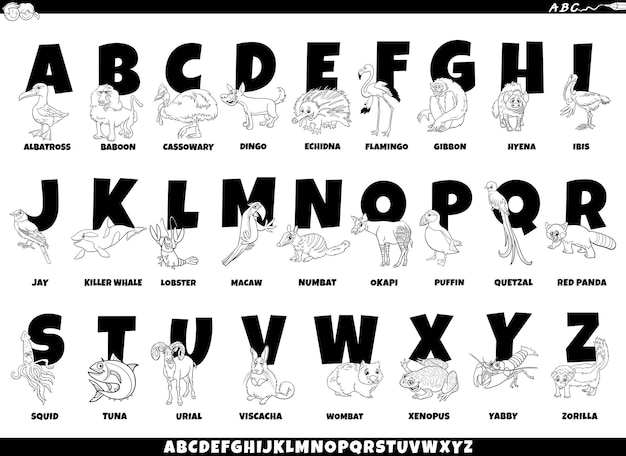 Cartoon-alphabet-set mit tierfiguren malvorlagen