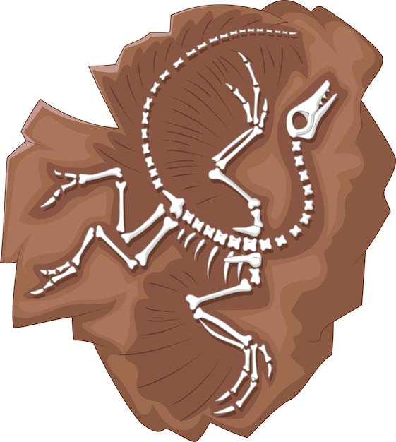 Vektor cartoon archaeopteryx fossil