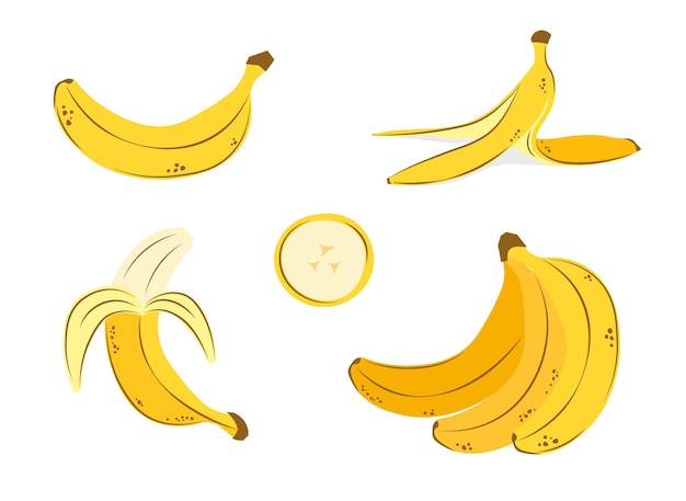 Cartoon-Bananen-Zeichner-Set Bündel von Bananen und Bananenschale Vektor-Handgezeichneter Illustration
