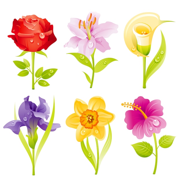 Cartoon blumen icon set.