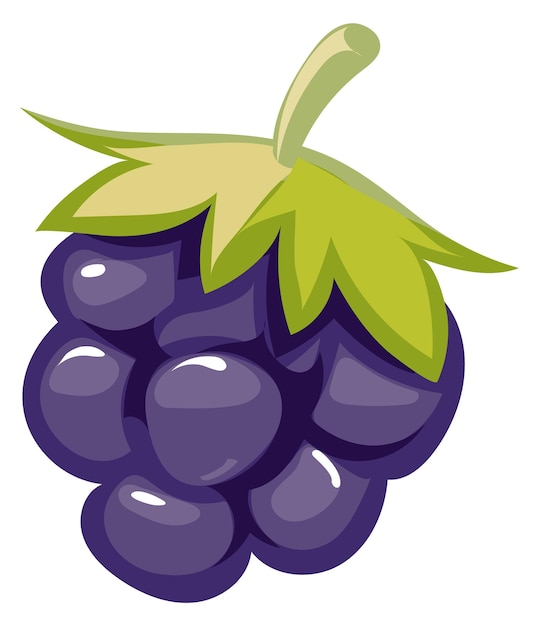 Cartoon-brombeer-symbol gesunde reife frische beeren