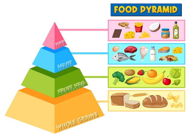 Vektor cartoon-ernährungspyramide-infografik ein ernährungsleitfaden