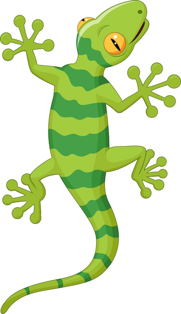 Cartoon Gecko