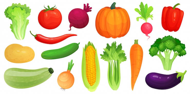 Vektor cartoon gemüse. frisches veganes gemüse, grüne gemüse-zucchini und sellerie. salat-, tomaten- und karottenillustrationssatz