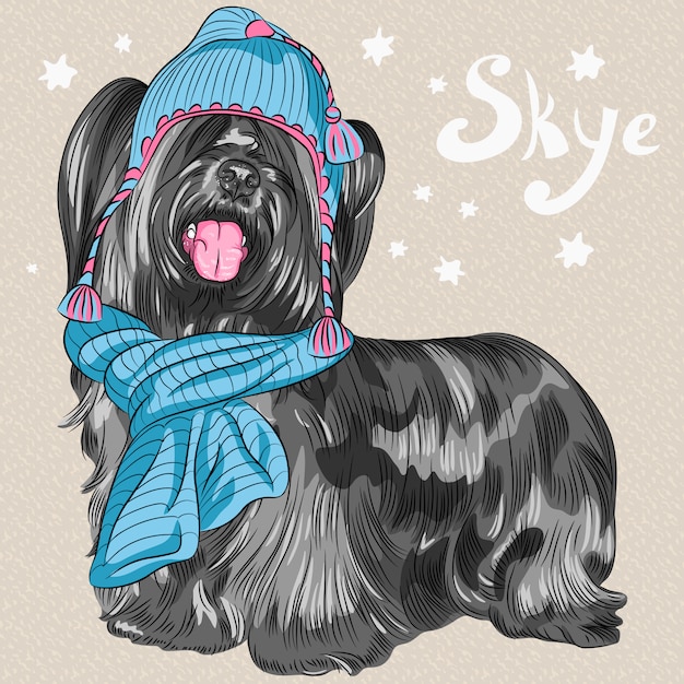 Vektor cartoon hipster hund skye terrier rasse lächelnd