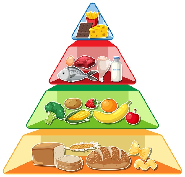 Vektor cartoon-infografik über die nahrungsmittelpyramide ein visueller leitfaden