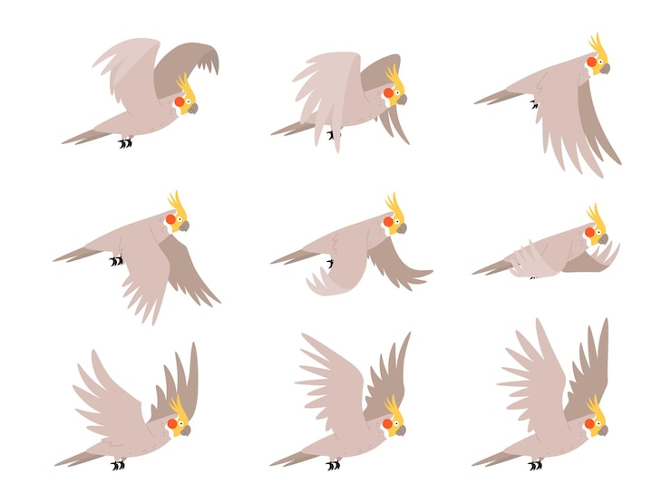 Vektor cartoon kakadu papagei fliegen animation frames sequenz. animierte sprites-schleife von tropischen vögeln, die in den himmel fliegen. vektorbewegungszyklus des papageienflügels. exotischer entzückender fauna-charakterflug