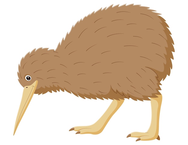 Vektor cartoon lustige kiwi-vogel-vektor-illustration