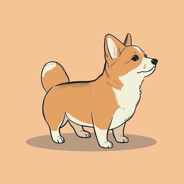 Cartoon niedliche Corgi-Illustration. Isolierter Vektorhund.