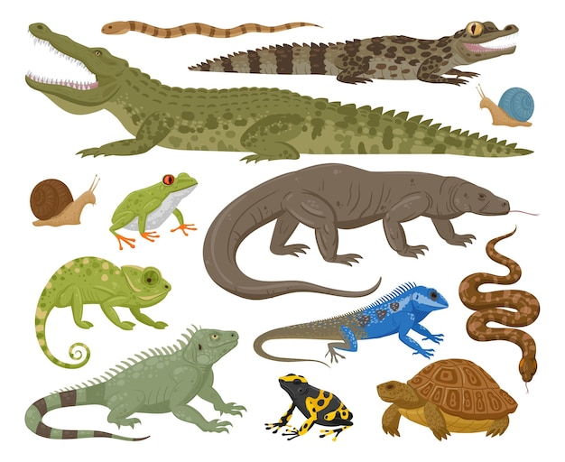 Cartoon Reptilien- und Amphibien-Eidechsen-Schlangenchamäleon-flacher Vektor-Illustrationssatz