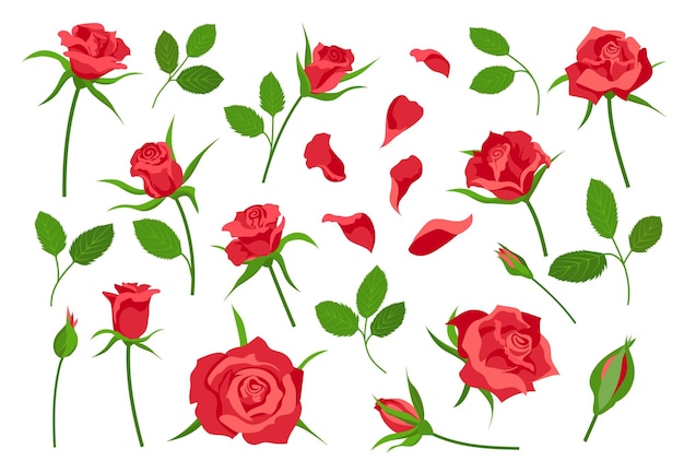 Cartoon Rose Blume Elemente Blätter Stängel Blütenblätter und Knospen Rot blühende Rosen für Blumenstrauß Dekoration Romantische florale Symbol-Vektor-Set Illustration der Blume Cartoon isoliert