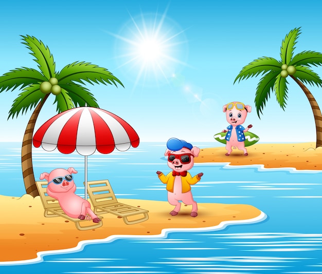 Cartoon schweine genießen einen sommerurlaub am strand