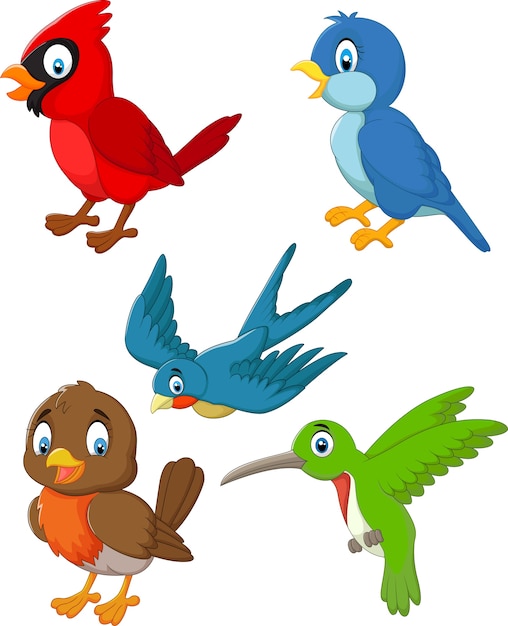 Vektor cartoon vögel sammlung festgelegt