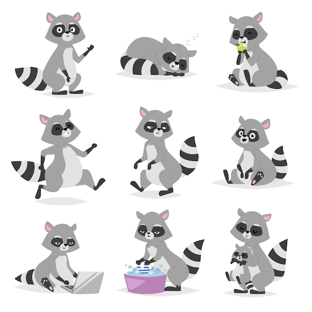 Cartoon Waschbär Illustration.