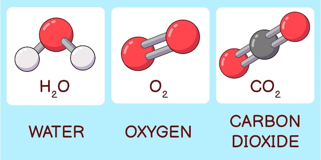 Vektor cartoon-wasser-sauerstoff- und kohlendioxid-moleküle