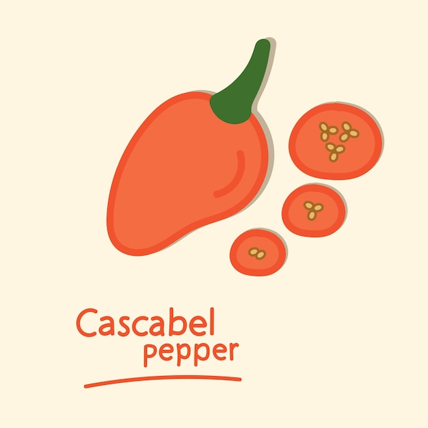 Cascabel-Pfeffer. Handgezeichnete Sammlung von Chili-Pfeffer-Elementen.