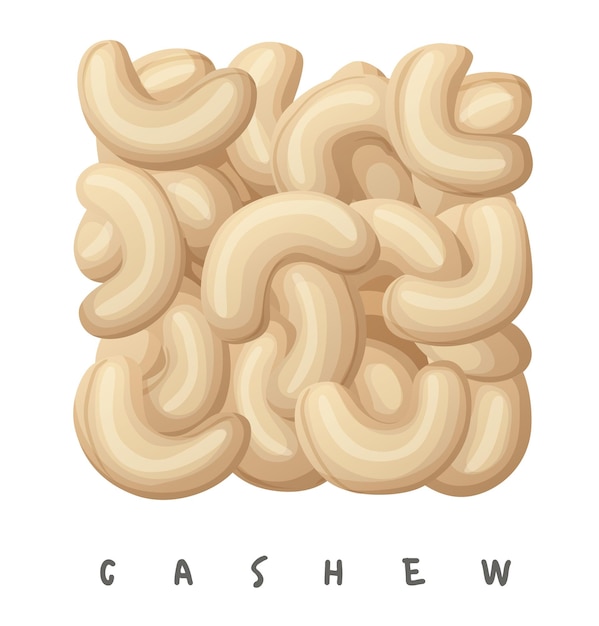 Cashewnüsse quadratisches Symbol Cartoon-Vektor-Illustration isoliert auf weißem Hintergrund