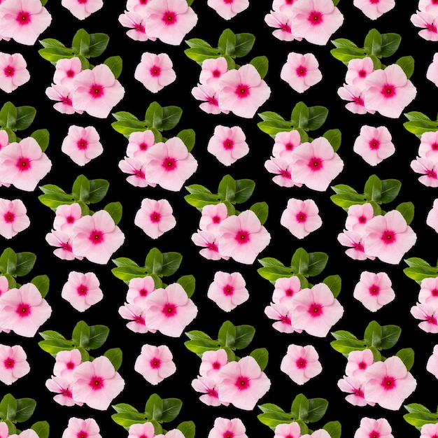 Catharanthus Blume & Blatt nahtloses Musterdesign