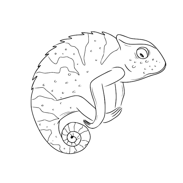 Chamäleon in einem linearen Stil Schwarz-Weiß-Vektorillustration eines Reptils Reptil in handgezeichnet