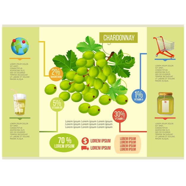 Vektor chardonnay infographik vorlage