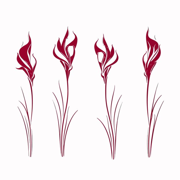 Vektor charmante vektorillustration einer gladiolenblüte