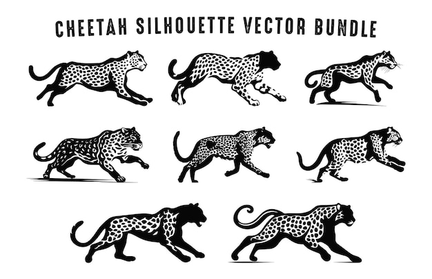 Vektor cheetah vector silhouette schwarz-weiß set laufende cheetah silhouettes bundle wildkatzen puma