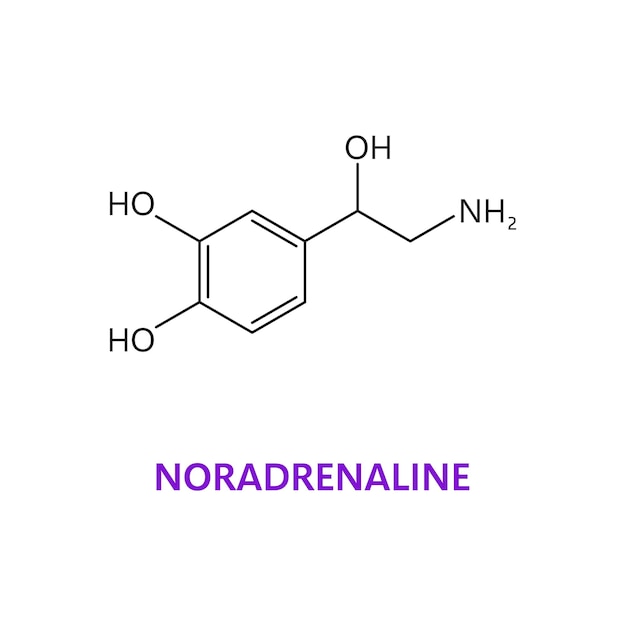 Chemische formel des neurotransmitters noradrenalin