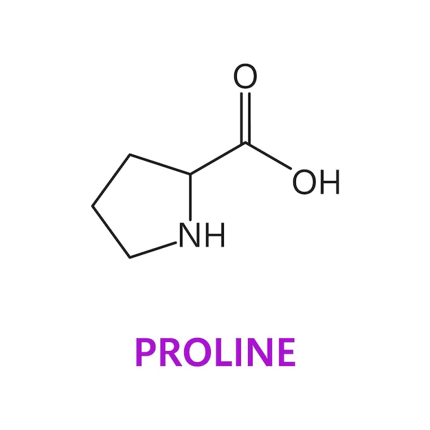 Vektor chemische molekülformel der aminosäure prolin