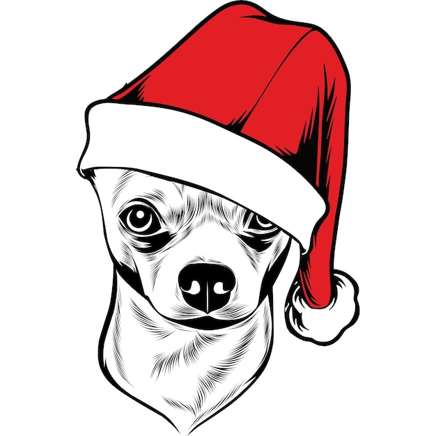 Chihuahua-hund in weihnachtsmütze zu weihnachten