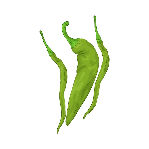 Chili